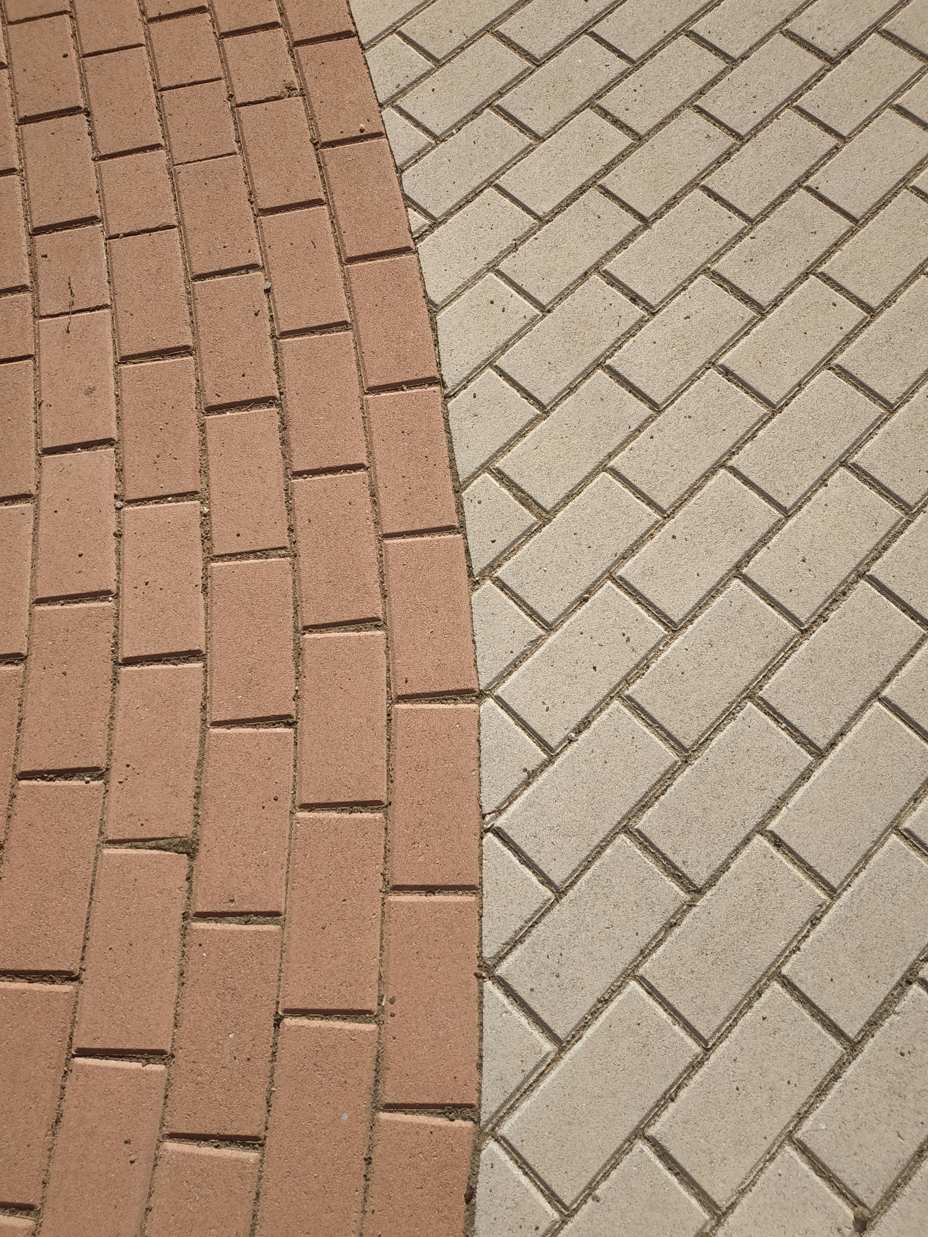 Garden detail
