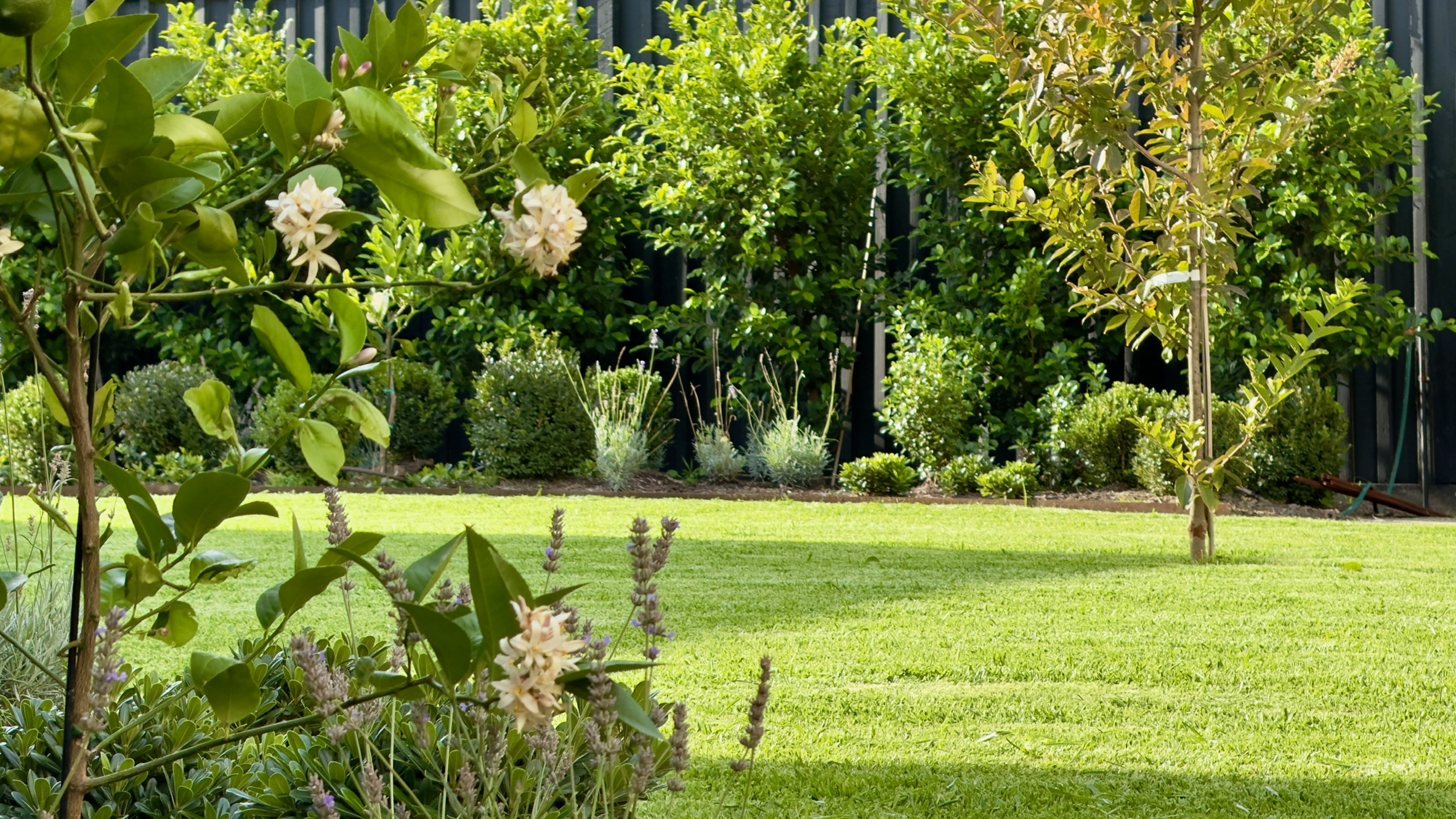 Lush garden bed