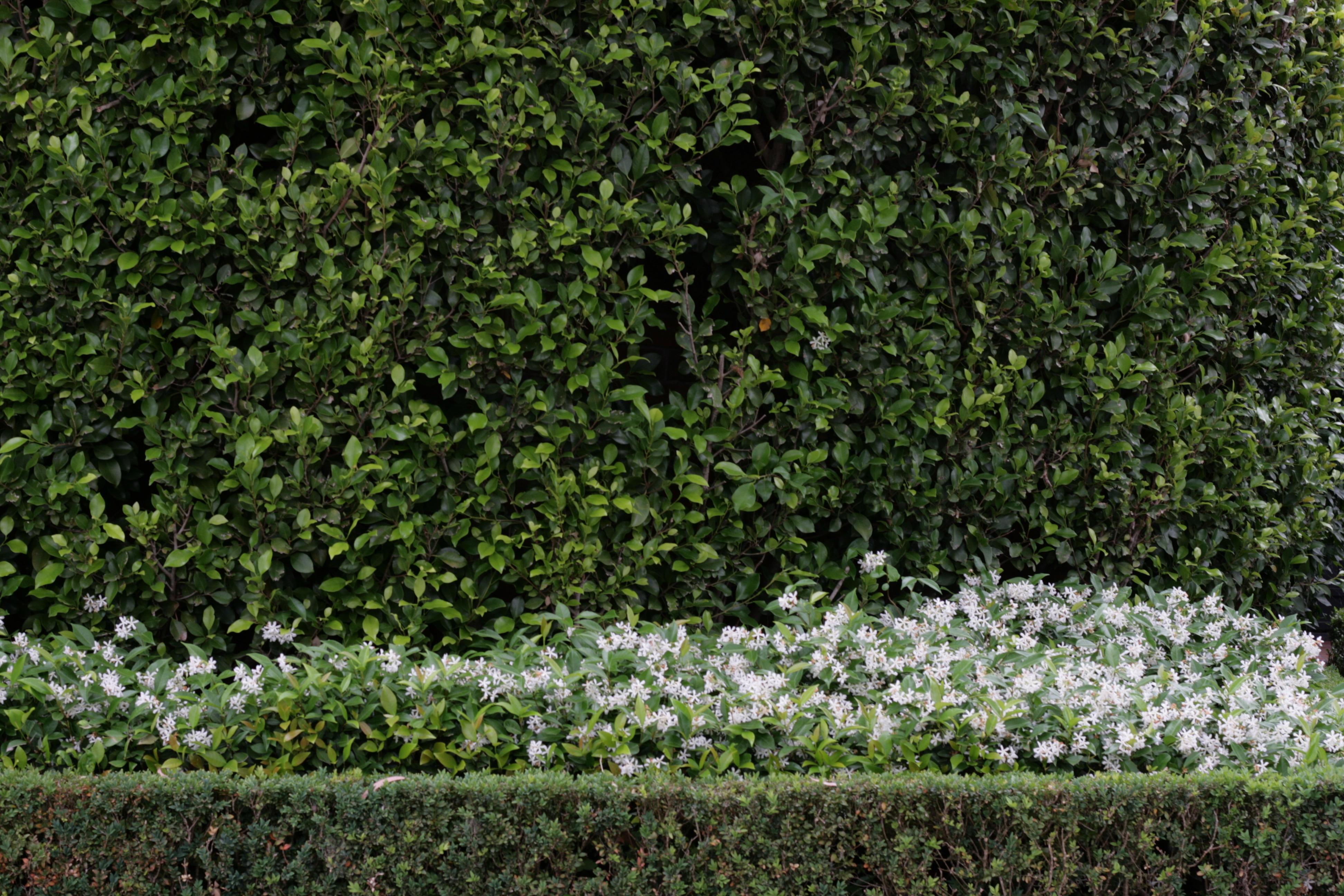 Yarra Gardens services