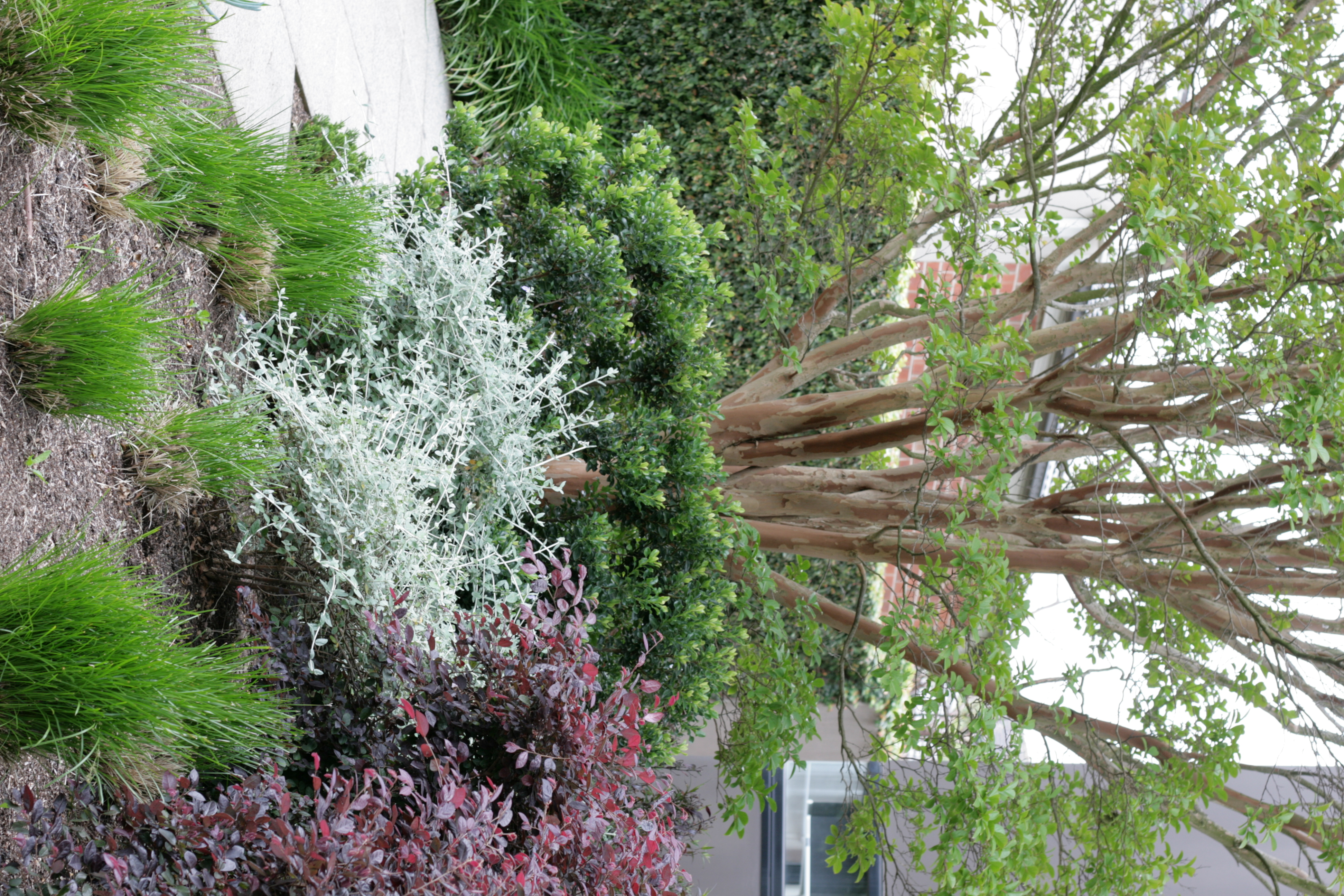 Landscape construction detail