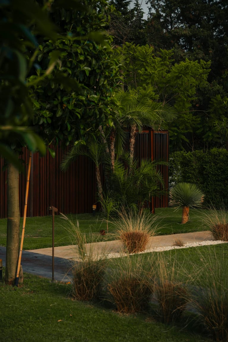 Blairgowrie garden — landscape design with bamboo, palms and ornamental grasses