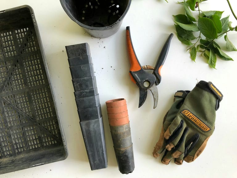 Secateurs, work gloves and pots laid out on a potting bench