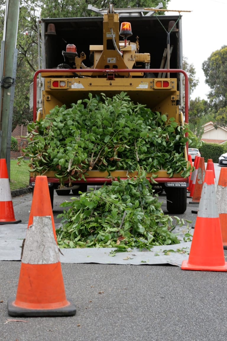 Green waste being fed into a truck-mounted chipper during a garden clean-up