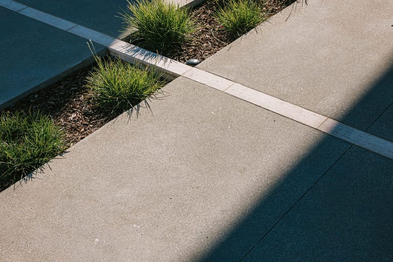 Concrete path with a stone inlay strip running beside native tussock grasses