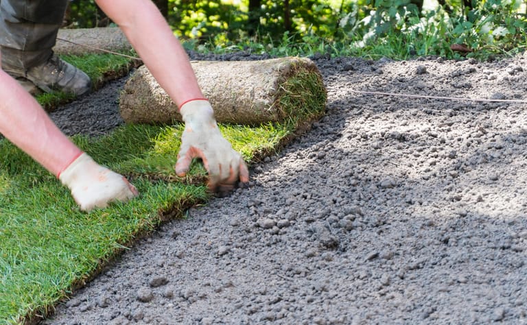Rolled turf being laid onto a prepared soil bed